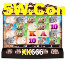 XX666